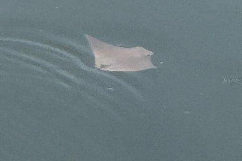 Casa en alquiler en Hudson, Florida, 3 dormitorios, 182.46 m2 № 1916407 - foto 30