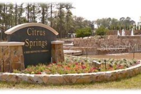 House in Citrus Springs, Florida 4 bedrooms, 216.46 sq.m. № 1831462 - photo 9
