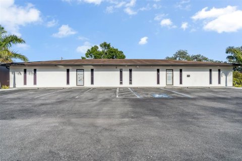Immobilier commercial à vendre à Tampa, Floride: 370.68 m2 № 1754988 - photo 1