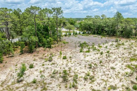 Land in Spring Hill, Florida № 2213844 - photo 23