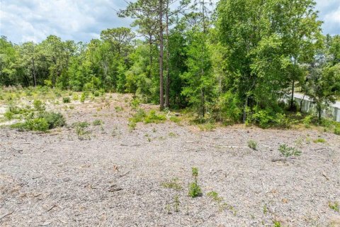 Land in Spring Hill, Florida № 2213844 - photo 19