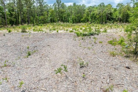 Land in Spring Hill, Florida № 2213844 - photo 17