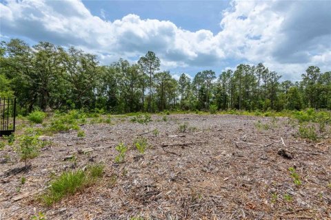 Land in Spring Hill, Florida № 2213844 - photo 7