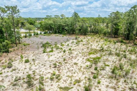 Land in Spring Hill, Florida № 2213844 - photo 22