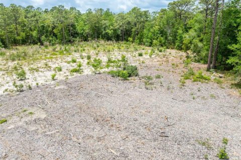 Land in Spring Hill, Florida № 2213844 - photo 20