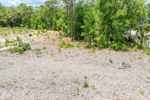 Land in Spring Hill, Florida № 2213844 - photo 21