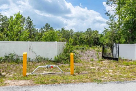 Land in Spring Hill, Florida № 2213844 - photo 5