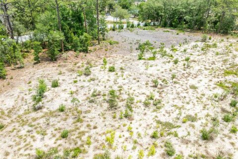 Land in Spring Hill, Florida № 2213844 - photo 24