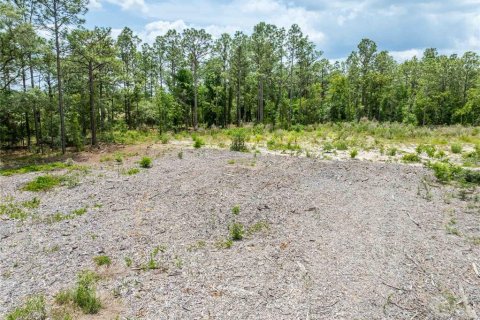 Land in Spring Hill, Florida № 2213844 - photo 18