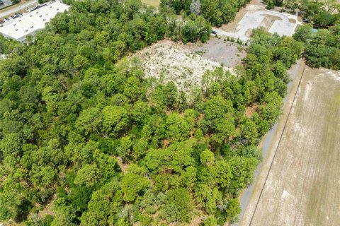 Land in Spring Hill, Florida № 2213844 - photo 11
