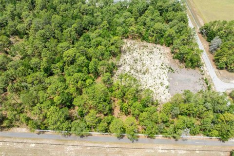 Land in Spring Hill, Florida № 2213844 - photo 13
