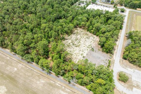 Land in Spring Hill, Florida № 2213844 - photo 14