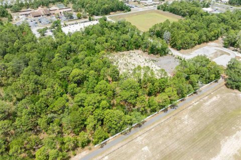 Land in Spring Hill, Florida № 2213844 - photo 16