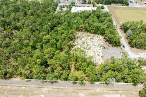 Land in Spring Hill, Florida № 2213844 - photo 12