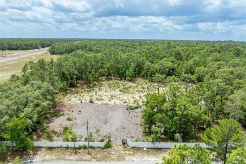 Land in Spring Hill, Florida № 2213844 - photo 4