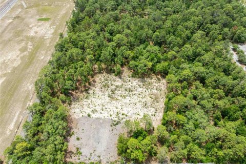 Land in Spring Hill, Florida № 2213844 - photo 15