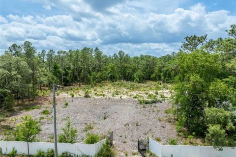 Land in Spring Hill, Florida № 2213844 - photo 3