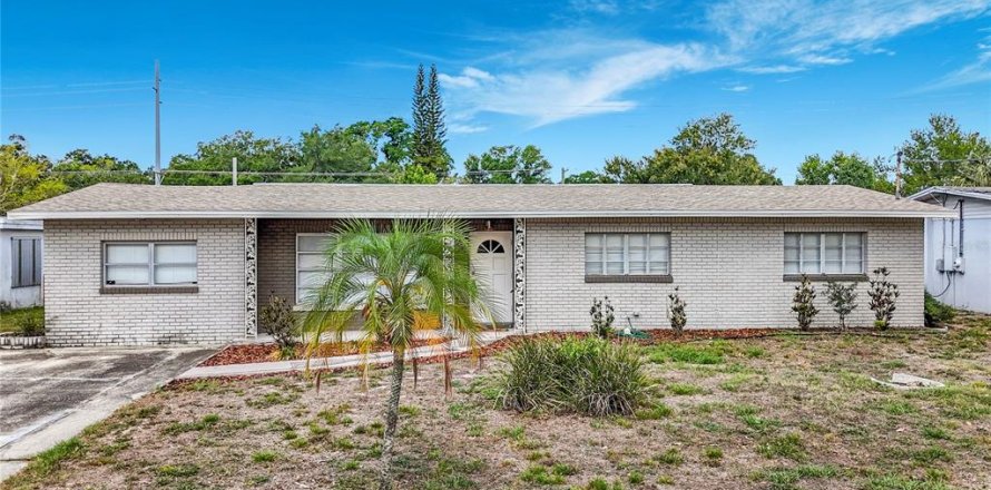 House in Tampa, Florida 4 bedrooms, 137.96 sq.m. № 2116383