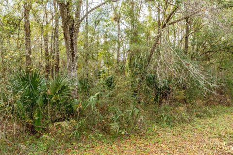 Land in Brooksville, Florida № 2116328