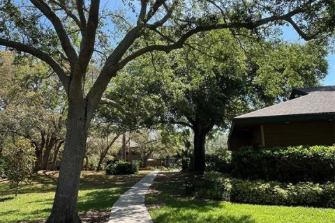 Condo in Palm Harbor, Florida, 2 bedrooms  № 1658263 - photo 24