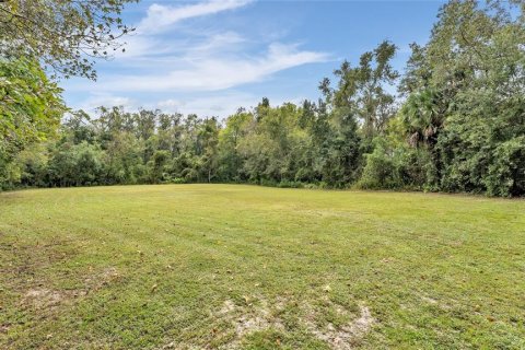 Terrain à vendre à Lakeland, Floride № 2427533 - photo 2