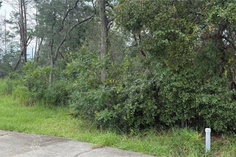 Terrain à vendre à Ocala, Floride № 1917076 - photo 4