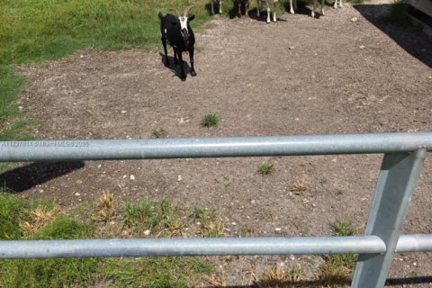 Villa ou maison à vendre à Clewiston, Floride: 3 chambres, 115.94 m2 № 1974324 - photo 27