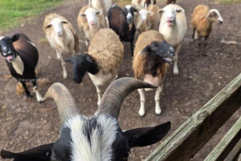 Villa ou maison à vendre à Clewiston, Floride: 3 chambres, 115.94 m2 № 1974324 - photo 8