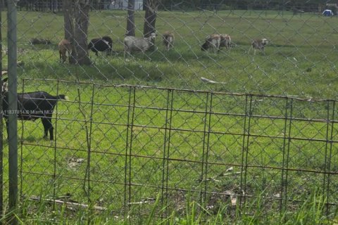 Villa ou maison à vendre à Clewiston, Floride: 3 chambres, 115.94 m2 № 1974324 - photo 22