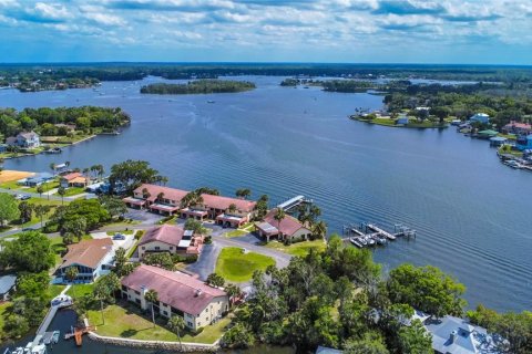 Condo in Crystal River, Florida, 3 bedrooms  № 1851723 - photo 2
