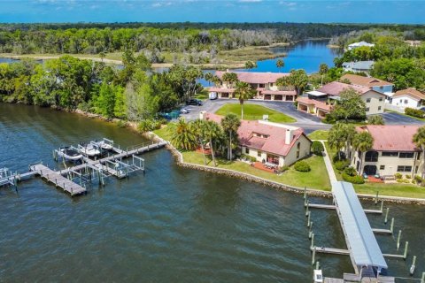 Condo in Crystal River, Florida, 3 bedrooms  № 1851723 - photo 3