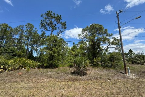 Land in Lehigh Acres, Florida № 2228611