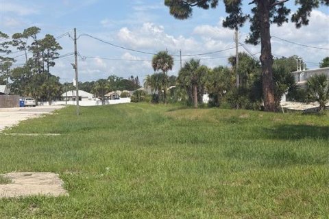 Land in Edgewater, Florida № 2211812 - photo 3