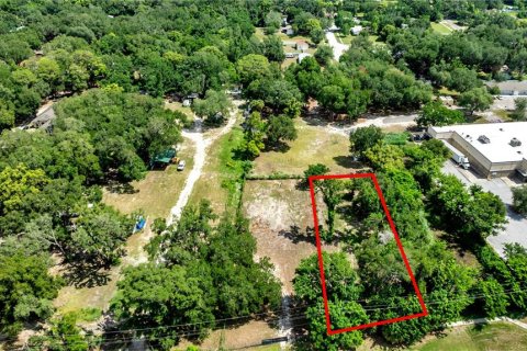 Land in Thonotosassa, Florida № 2207516
