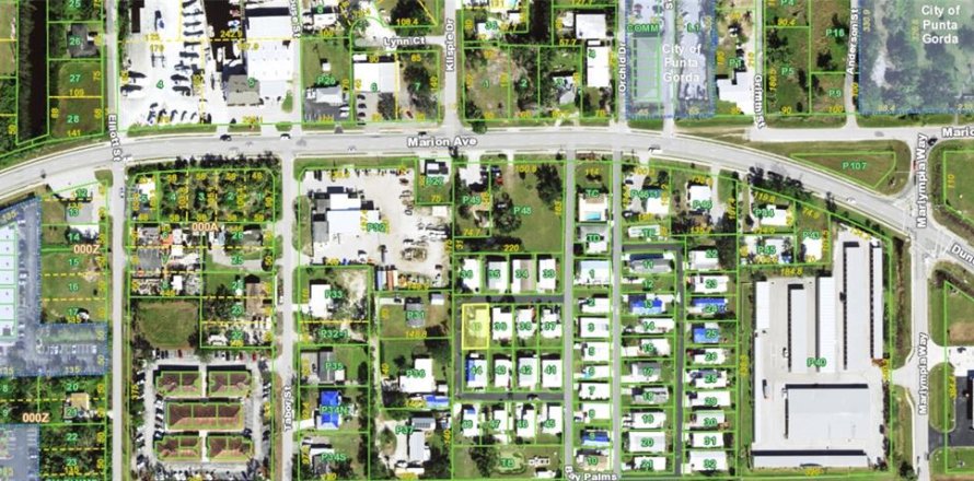 Terrain à Punta Gorda, Floride № 2213431