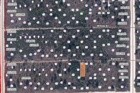 Land in Interlachen, Florida № 2163087 - photo 2