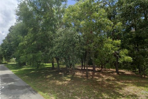 Land in Dade City, Florida № 2165013 - photo 7