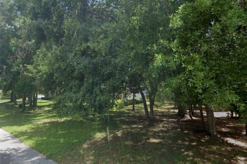 Land in Dade City, Florida № 2165013 - photo 4