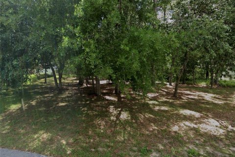 Land in Dade City, Florida № 2165013 - photo 5
