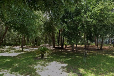 Land in Dade City, Florida № 2165013 - photo 6