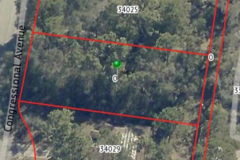 Land in Dade City, Florida № 2165013 - photo 2