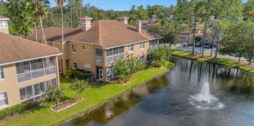 Condo à Palm Harbor, Floride, 2 chambres  № 1562722