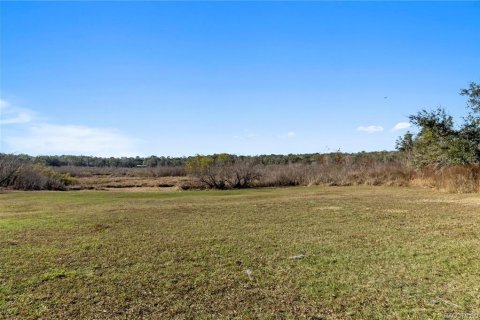 Land in Inverness, Florida № 2160324 - photo 16