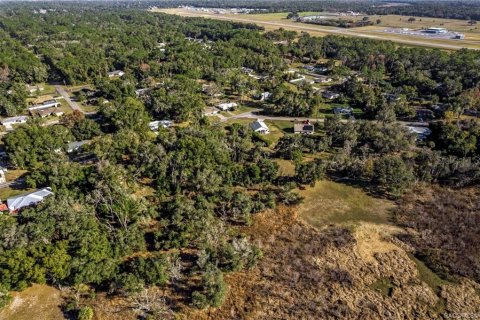Land in Inverness, Florida № 2160324 - photo 8