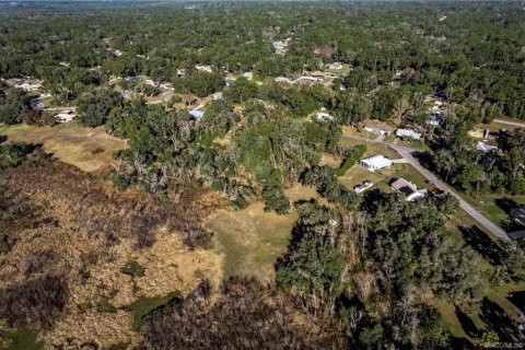Land in Inverness, Florida № 2160324 - photo 7