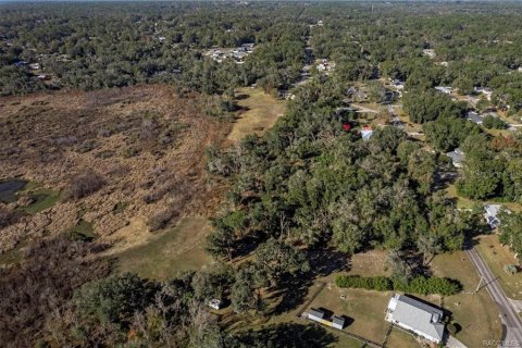 Land in Inverness, Florida № 2160324 - photo 5