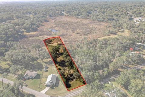 Land in Inverness, Florida № 2160324