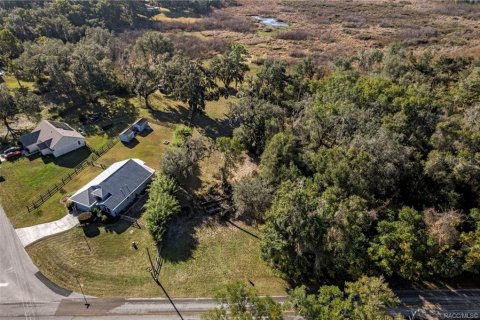 Land in Inverness, Florida № 2160324 - photo 2