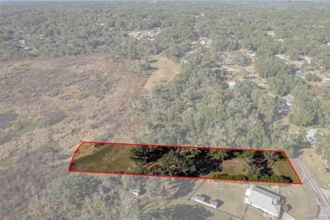 Land in Inverness, Florida № 2160324 - photo 6