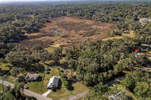 Land in Inverness, Florida № 2160324 - photo 3